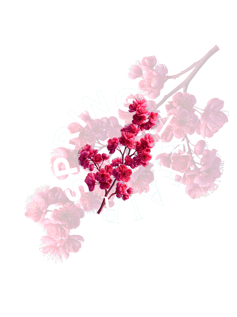 Faschings Party | Alter Wirt Grünwald 